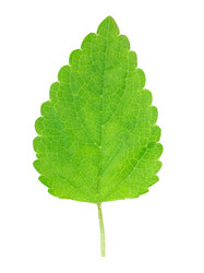 Similar image 2947756