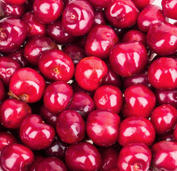 Similar image 2947757