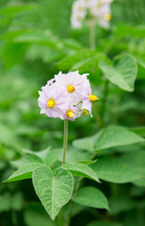 Similar image 2947760