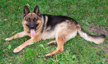 Similar image 2947763