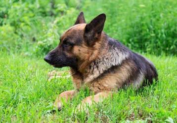 Similar image 2947764