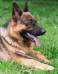 Similar image 2947767