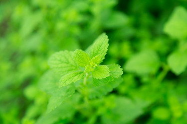 Similar image 2947776