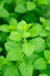 Similar image 2947777