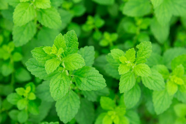 Similar image 2947778