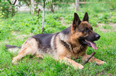 Similar image 2947780