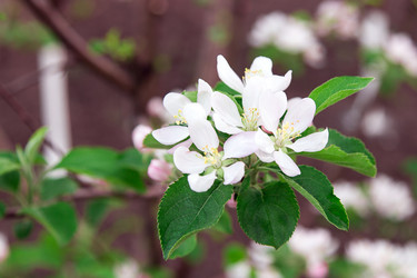 Similar image 2947784