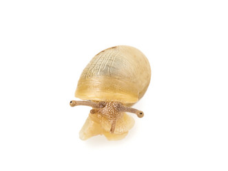 Similar image 2947791