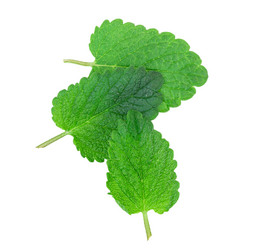 Similar image 2947792