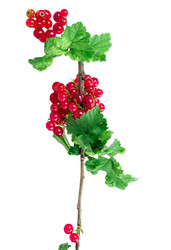 Similar image 2947795