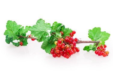 Similar image 2947796