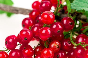 Similar image 2947797