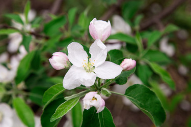 Similar image 2947806