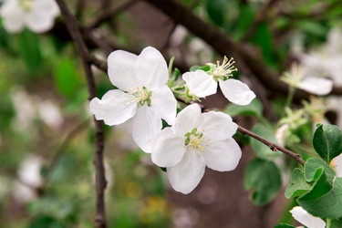 Similar image 2947807