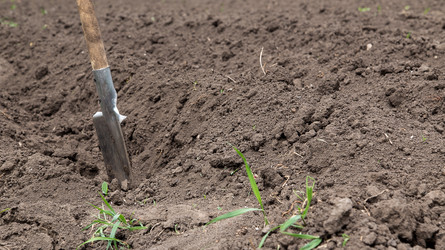 Similar image 2947809