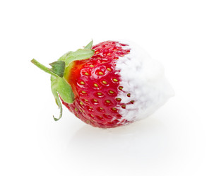 Similar image 2947824