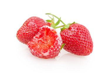 Similar image 2947827