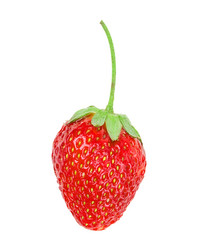 Similar image 2947832