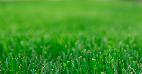 Similar image 2947834