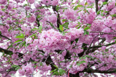 Similar image 2947835