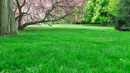 Similar image 2947837