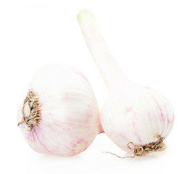 Similar image 2947845