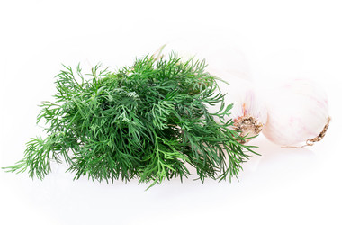 Similar image 2947846