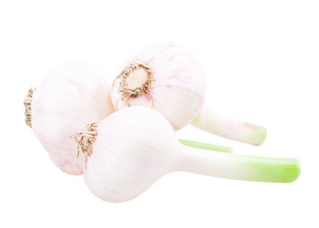 Similar image 2947851