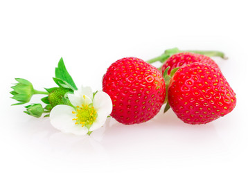 Similar image 2947884