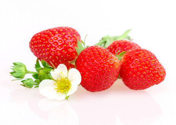 Similar image 2947885