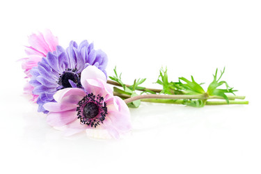 Similar image 2947889