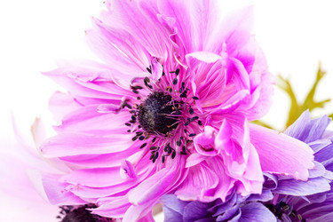 Similar image 2947890