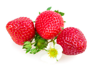 Similar image 2947891