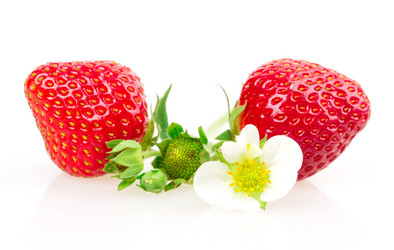 Similar image 2947892