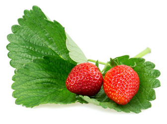 Similar image 2947893