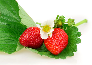 Similar image 2947894