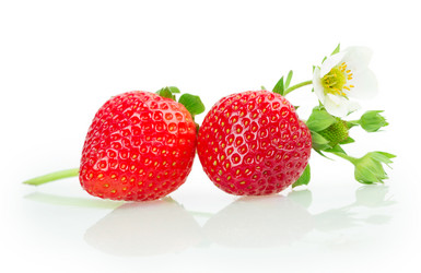 Similar image 2947895