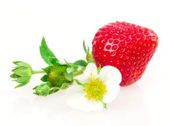 Similar image 2947899