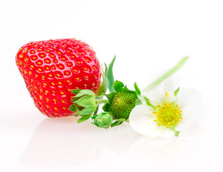 Similar image 2947900