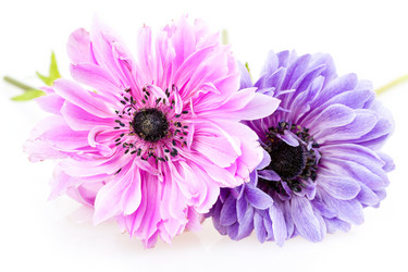 Similar image 2947901