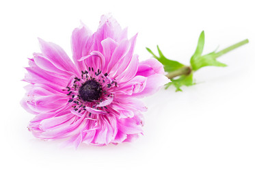 Similar image 2947902