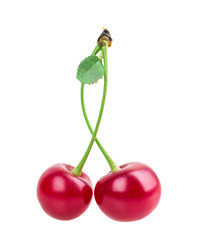 Similar image 2947905