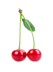 Similar image 2947907