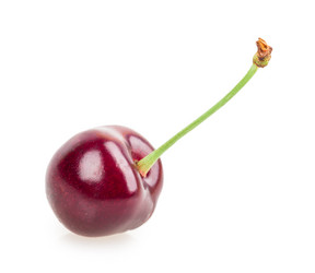 Similar image 2947909