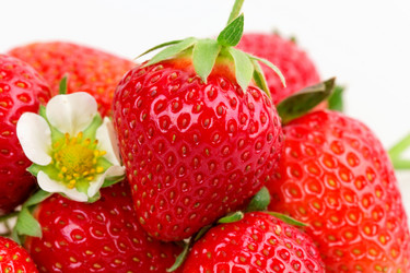 Similar image 2947919