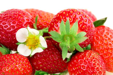 Similar image 2947920