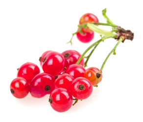 Similar image 2947922