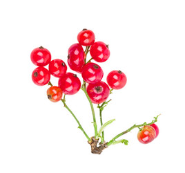 Similar image 2947933