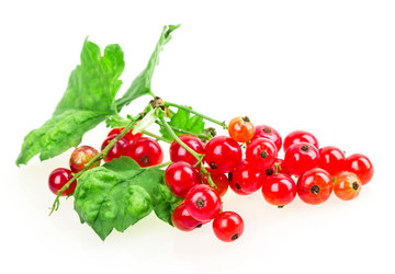 Similar image 2947934