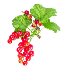 Similar image 2947935